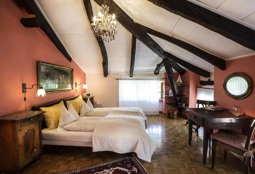 Swiss Historic Hotel Villa Carona