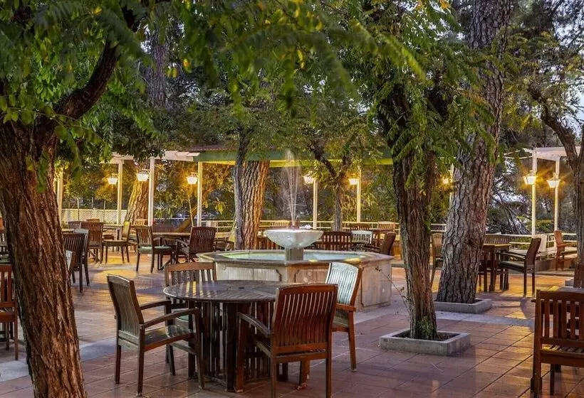 استراحتگاه Forest Park