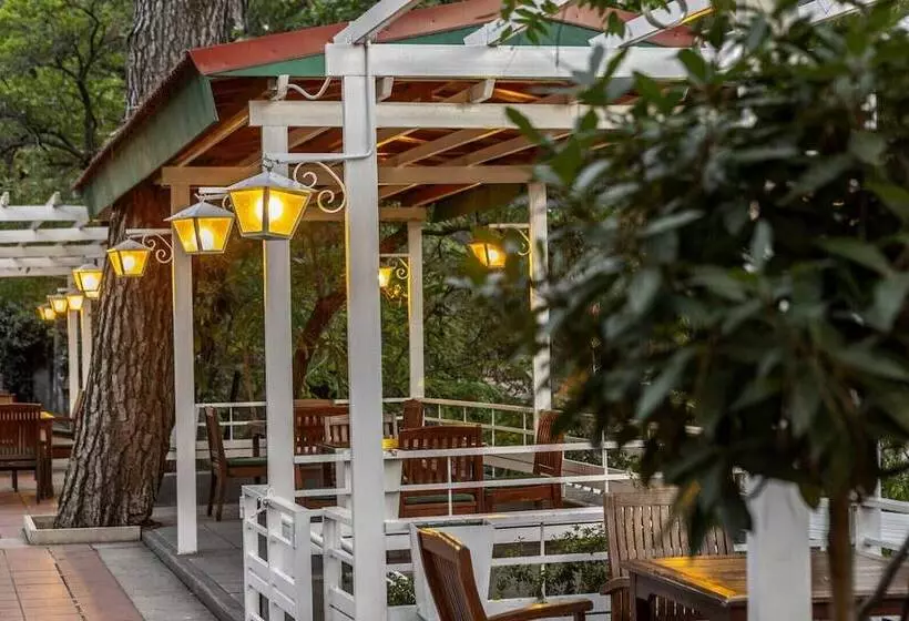 استراحتگاه Forest Park