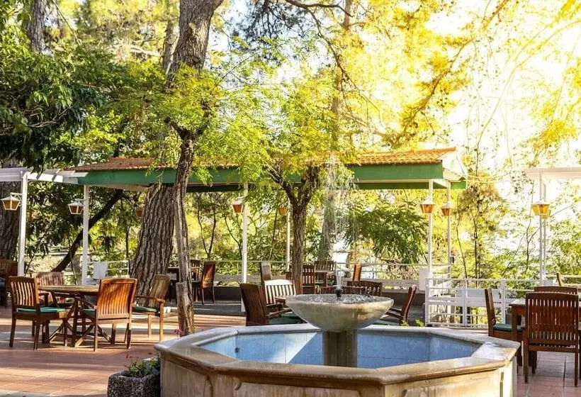 استراحتگاه Forest Park