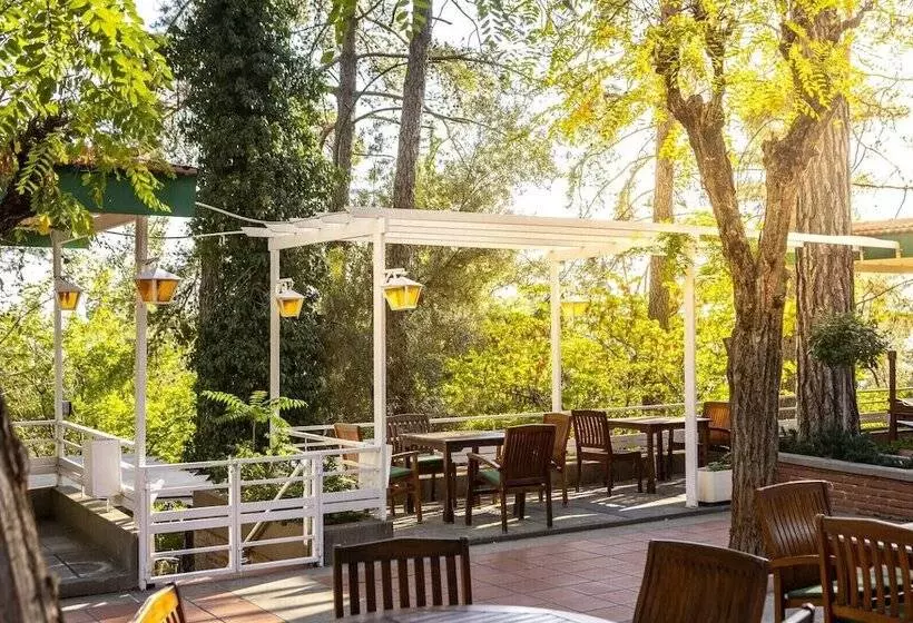 استراحتگاه Forest Park