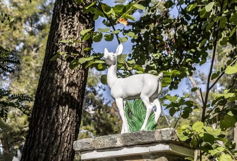 استراحتگاه Forest Park