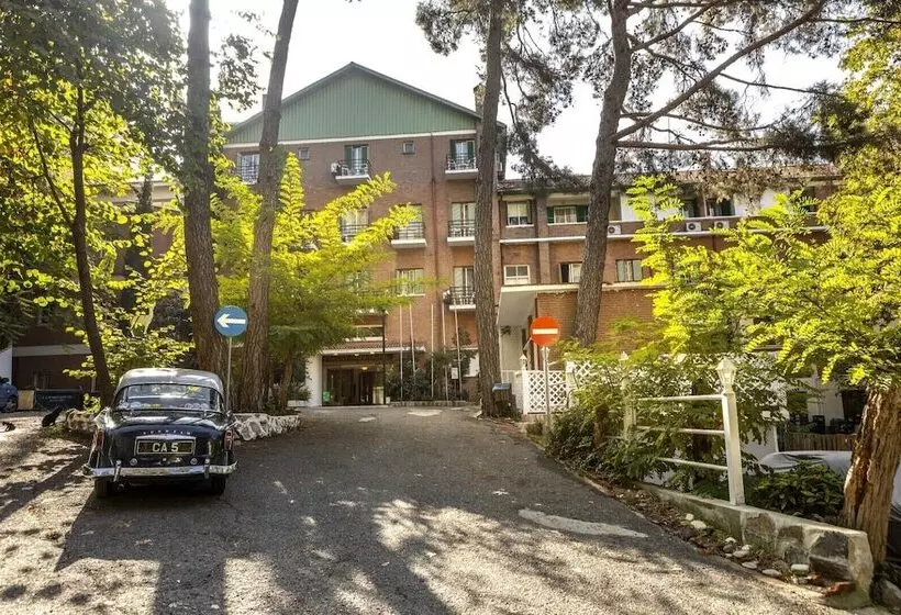 استراحتگاه Forest Park