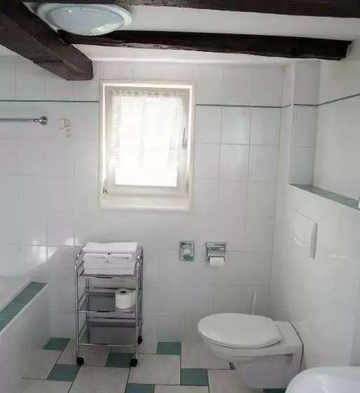 酒店 Haus Sonnenschein