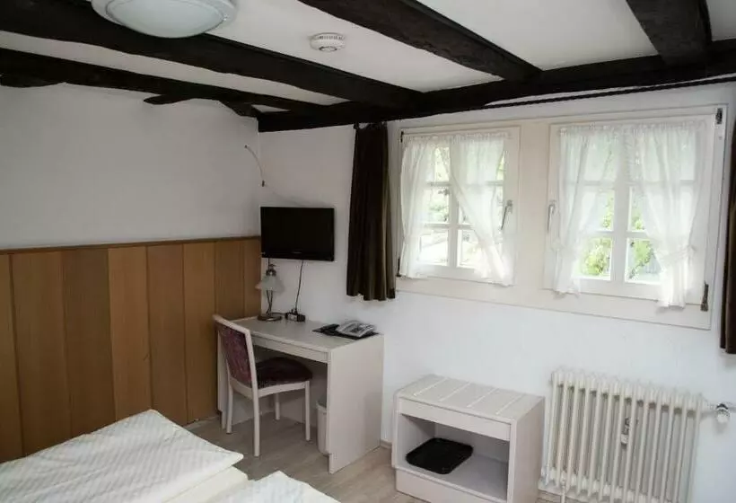 酒店 Haus Sonnenschein