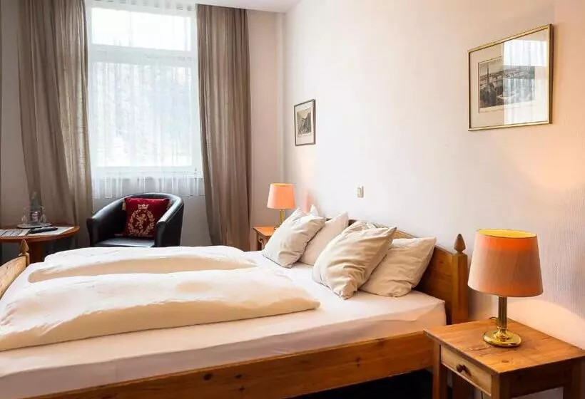 Отель Zum Goldenen Löwen