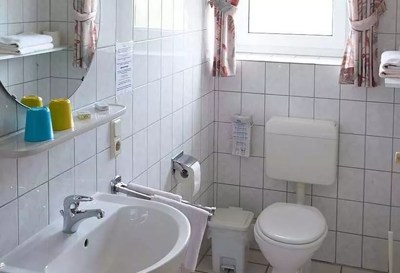 Hotelli Zum Wikinger