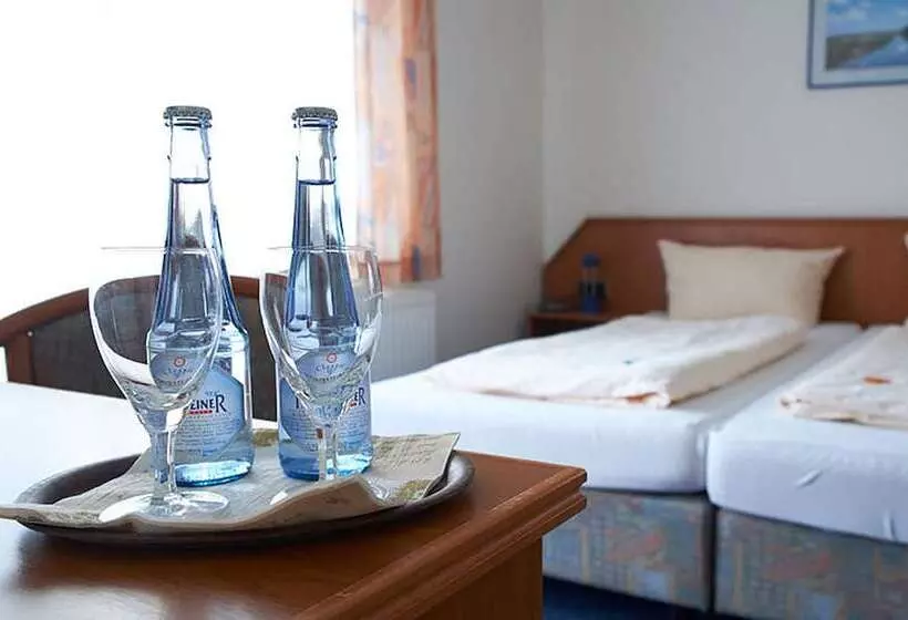 Hotelli Zum Wikinger