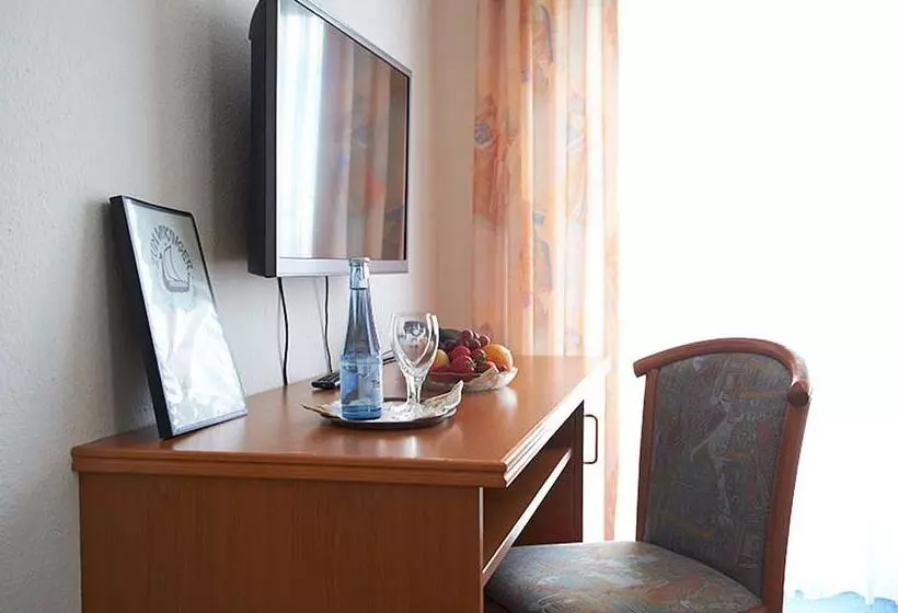 Hotelli Zum Wikinger