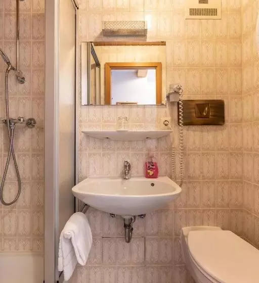 فندق Gasthof Zum Dragoner