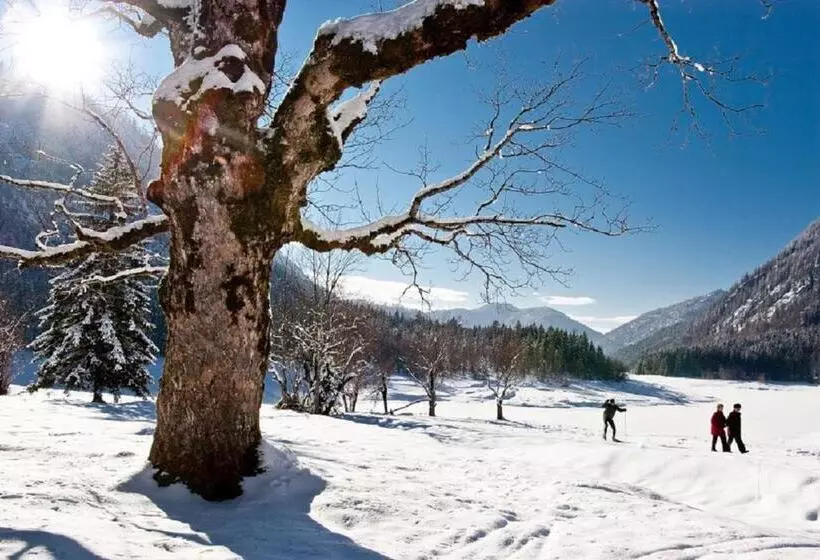 Landhotel Maiergschwendt
