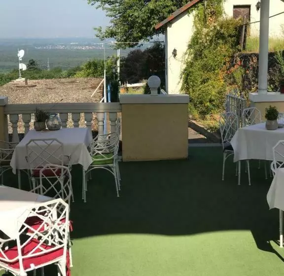 Отель Panorama Und Restaurant Schloßberg