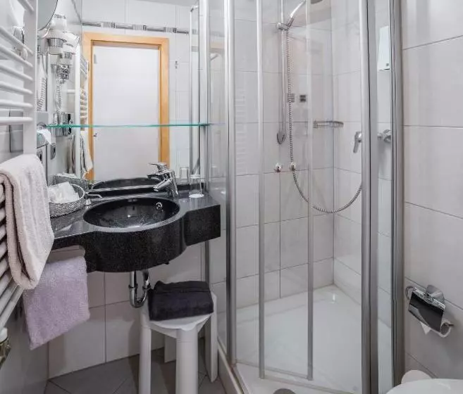 Отель Passauer Wolf