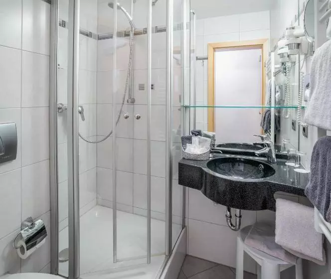 Отель Passauer Wolf