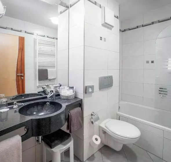 Отель Passauer Wolf