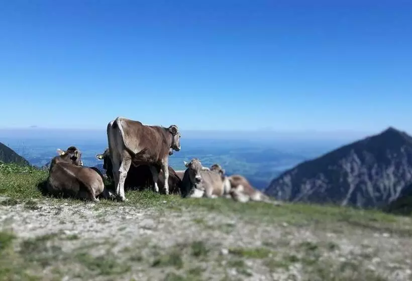 Hotel Pfeiffermühle