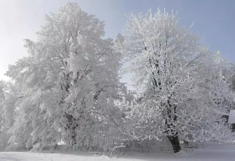 Hotel Pfeiffermühle