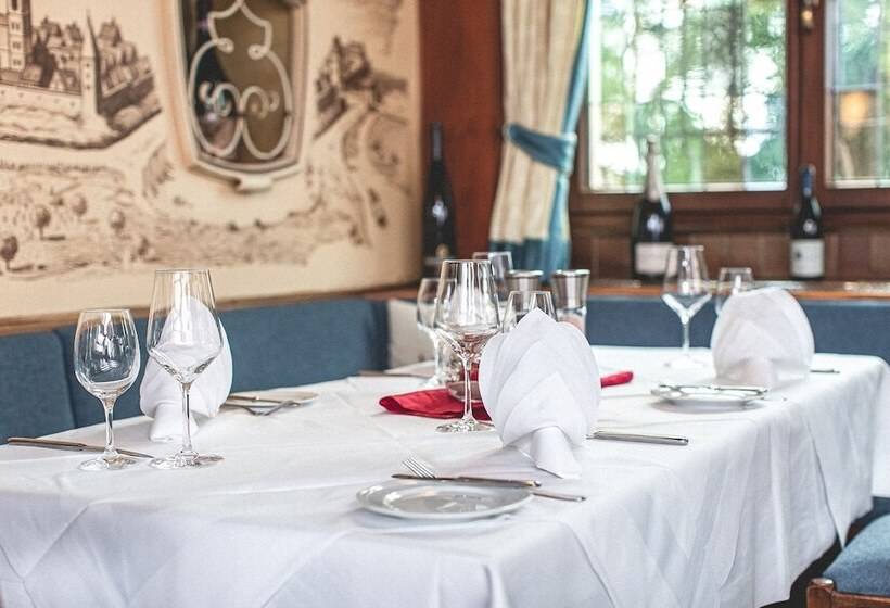 Plaza Hotel Buchhorner Hof