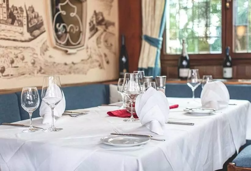 Plaza Hotel Buchhorner Hof