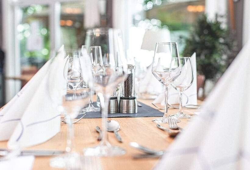 Plaza Hotel Buchhorner Hof