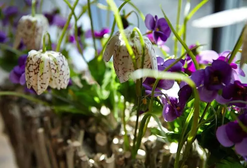 酒店 Sauerlacher Post