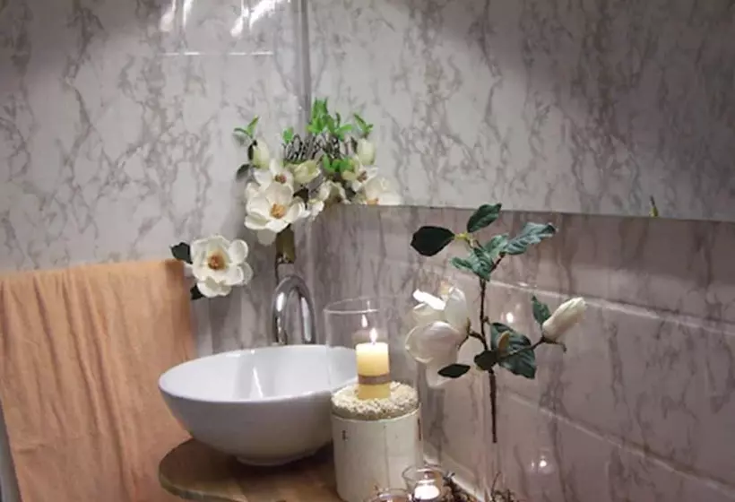 فندق Schwarzwald Sonnenhof