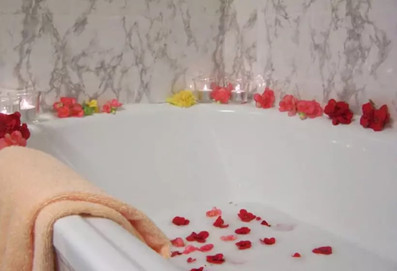 فندق Schwarzwald Sonnenhof