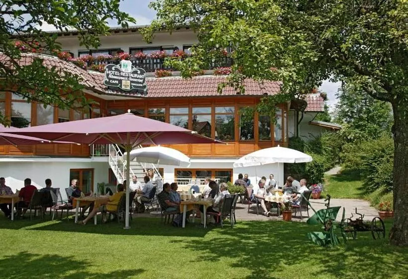 فندق Schwarzwald Sonnenhof
