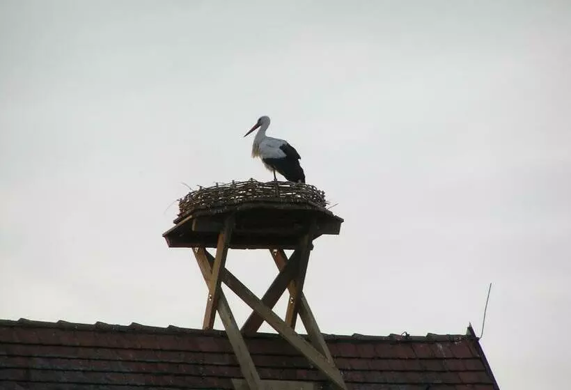 Отель Und Restaurant Lamm