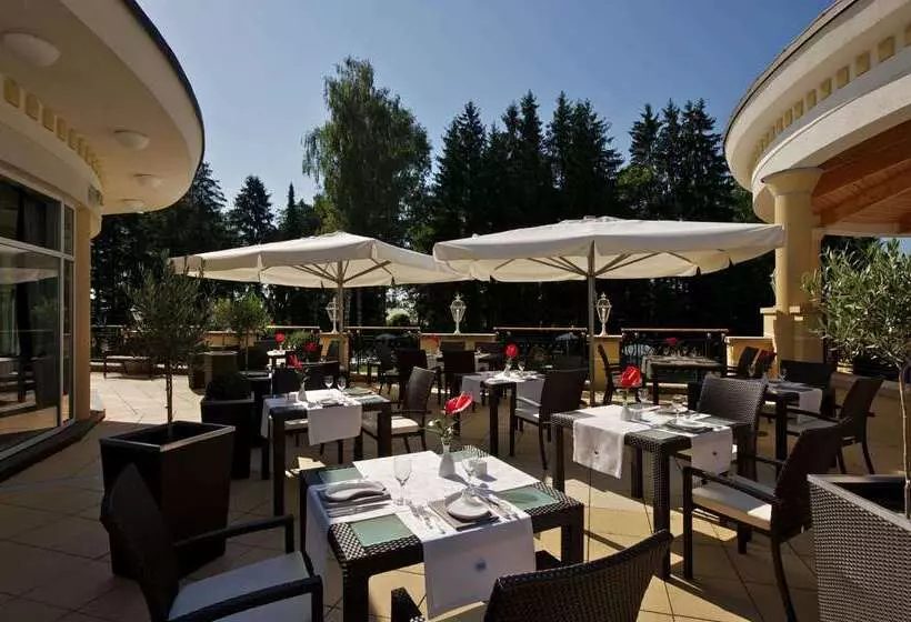 Steigenberger Hotel Der Sonnenhof