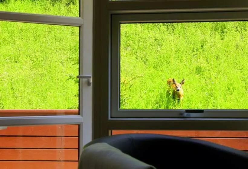 酒店 Bromølle Kro