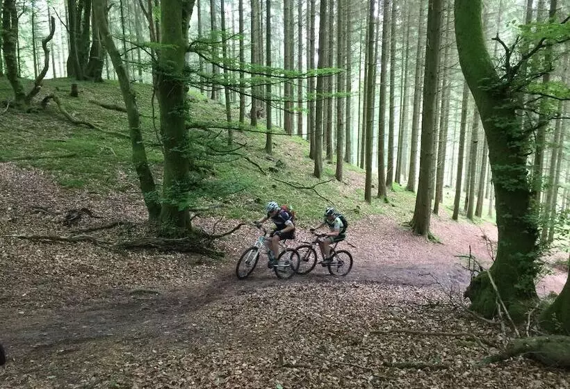 ホテル Rold Storkro