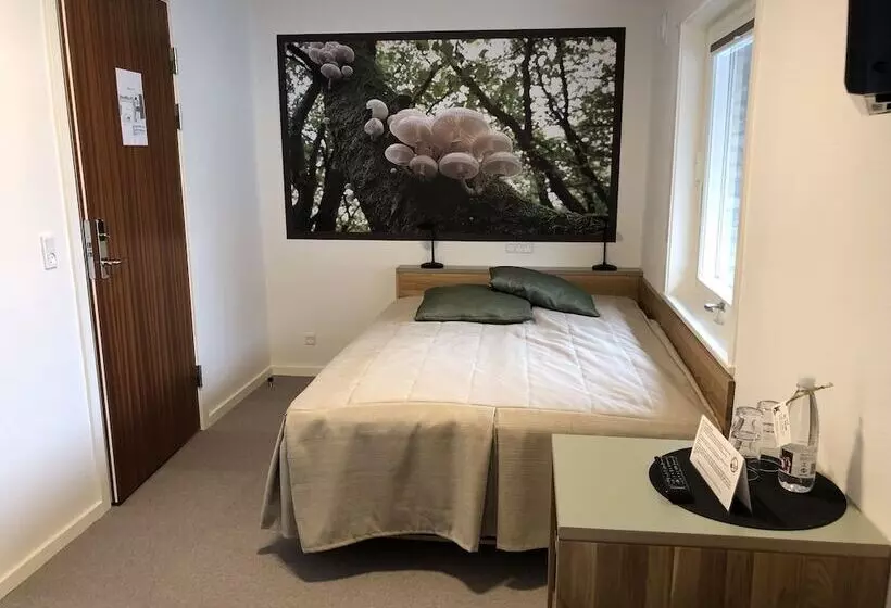 ホテル Rold Storkro