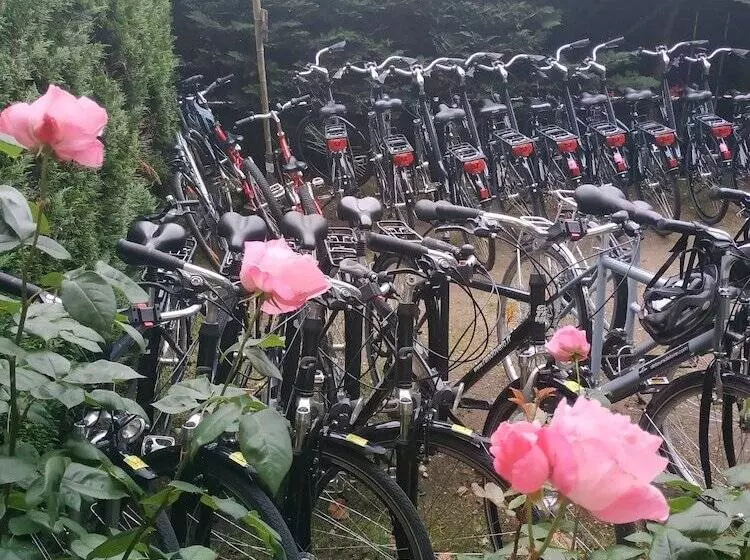 هتل Anne De Bretagne Blois