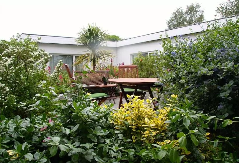 בית מלון כפרי Egans House