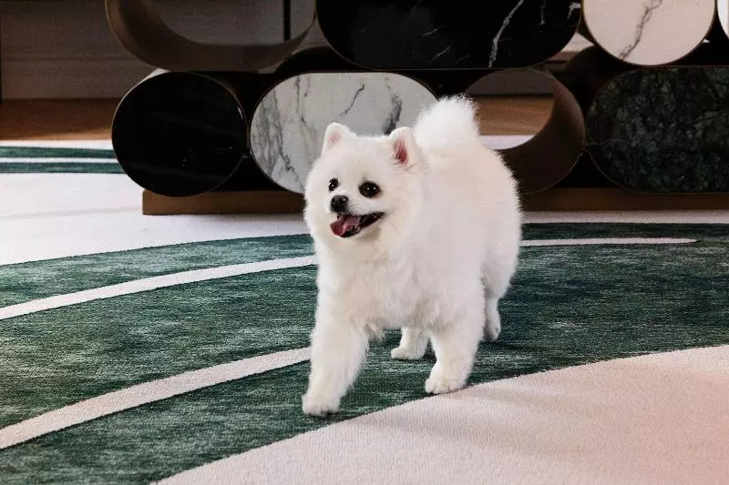 ホテル Paris Marriott Opera Ambassador