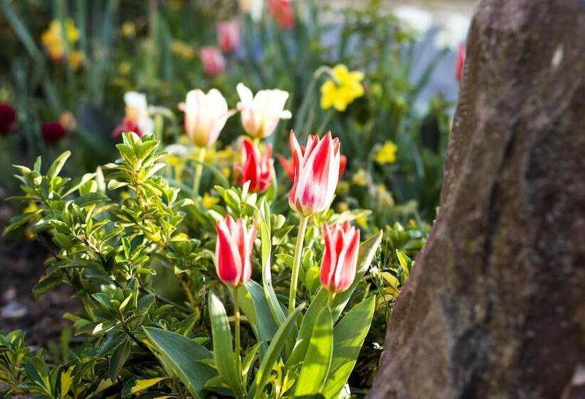 هتل Spa Et Restaurant Au Chasseur