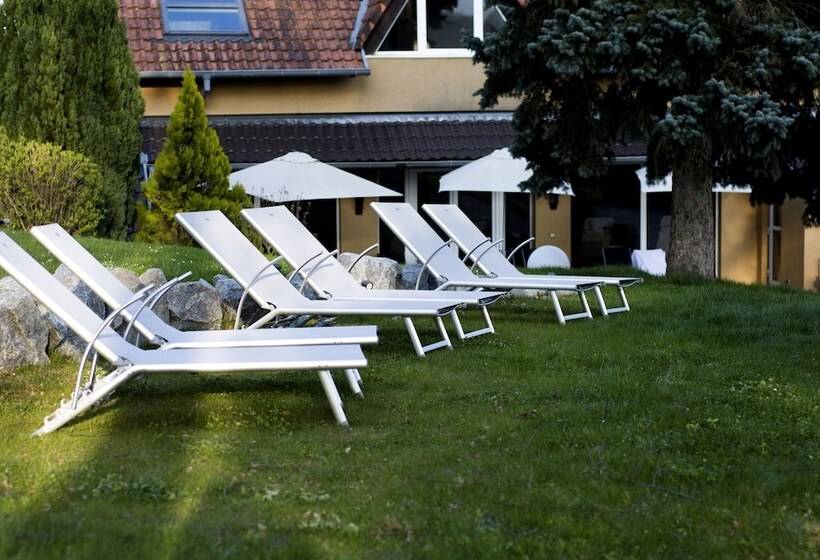 هتل Spa Et Restaurant Au Chasseur