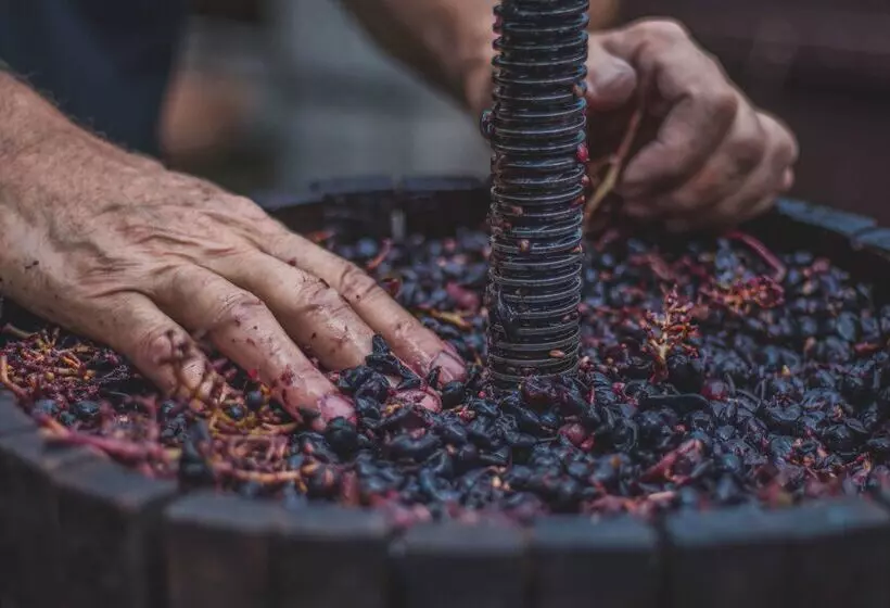 The Originals City Hotel De L Ange Guebwiller