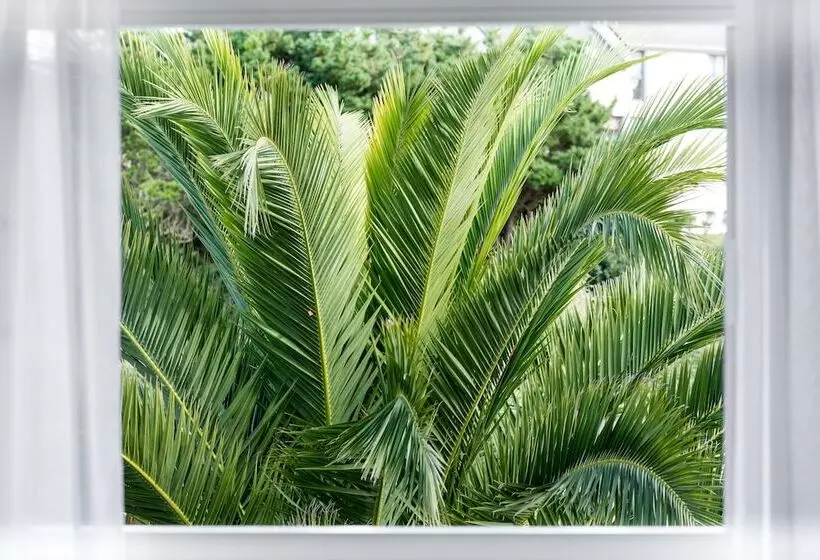 هتل Brit Hôtel De L Océan