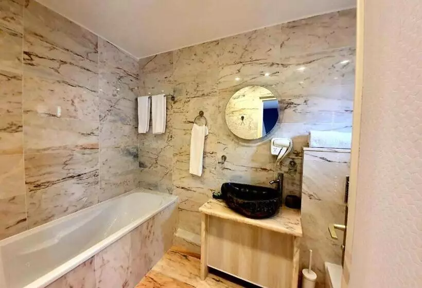 酒店 Croix Blanche De Sologne