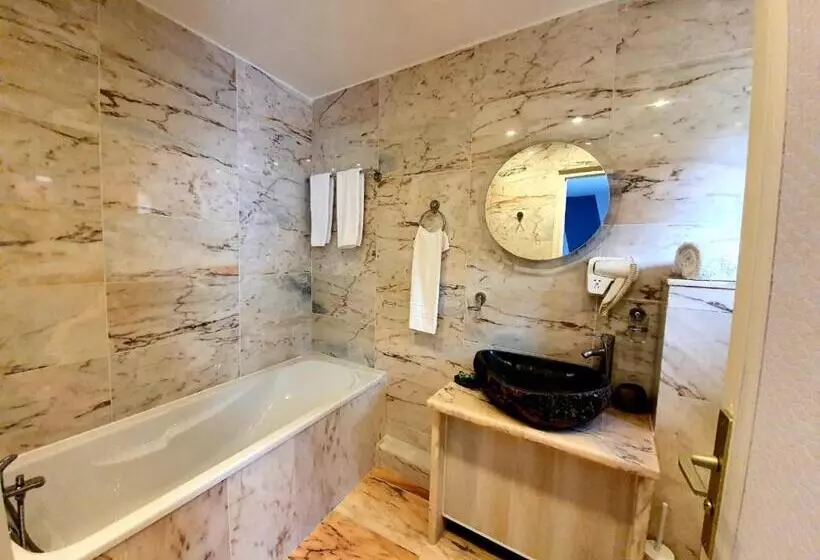 酒店 Croix Blanche De Sologne