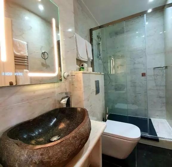 酒店 Croix Blanche De Sologne