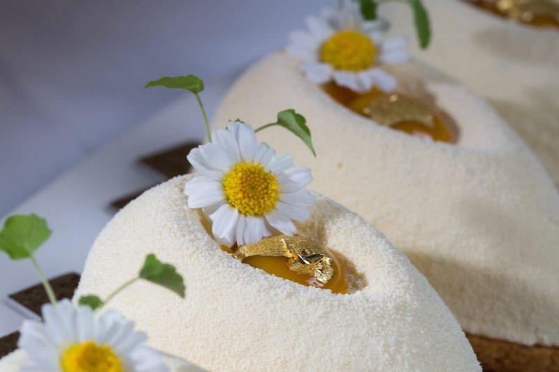 בית מלון כפרי D'europe