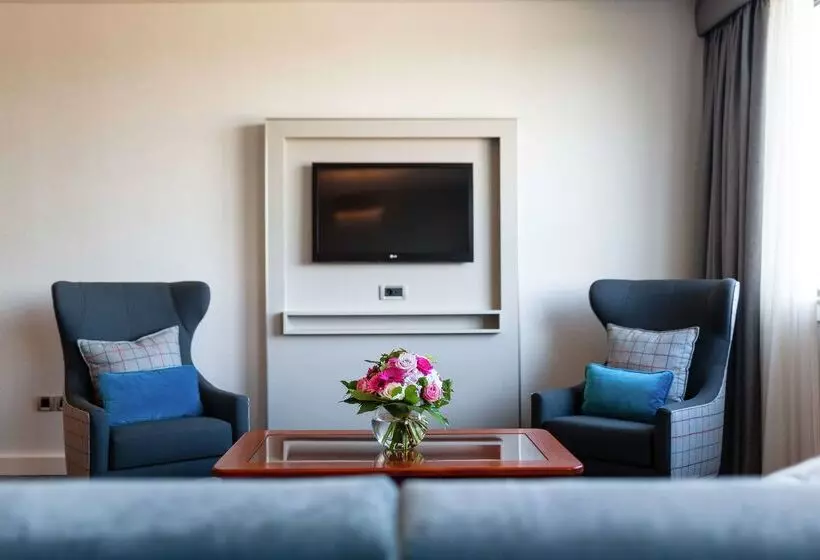 ホテル Hilton Strasbourg