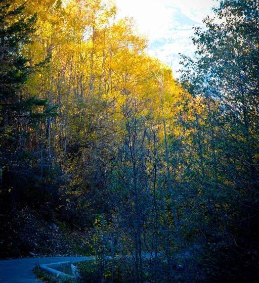 Hotel La Grande Eperviere