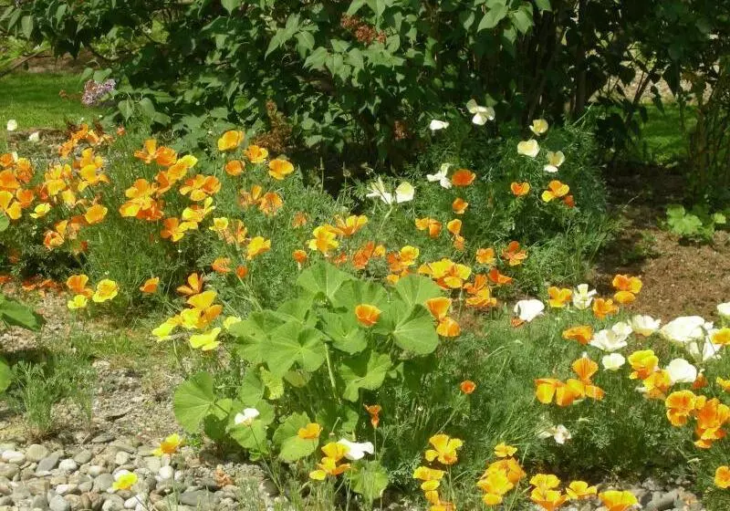 ホテル Logis Hôtel Restaurant Horizon 117