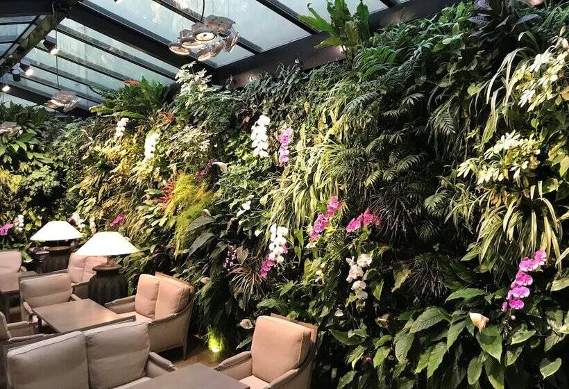 هتل Pas De Calais