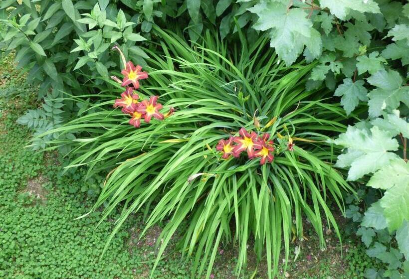 酒店 Restaurant La Chaumiere Du Lac