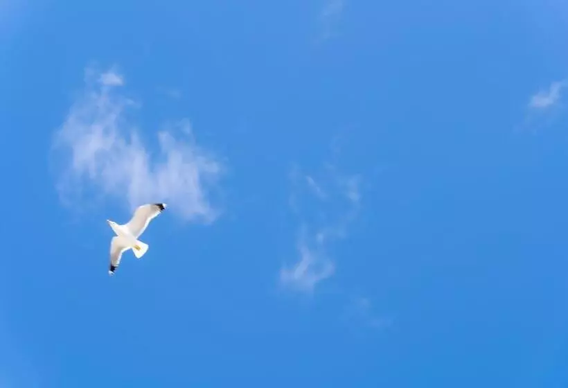 Hotel Hôtel Mar I Cel & Spa